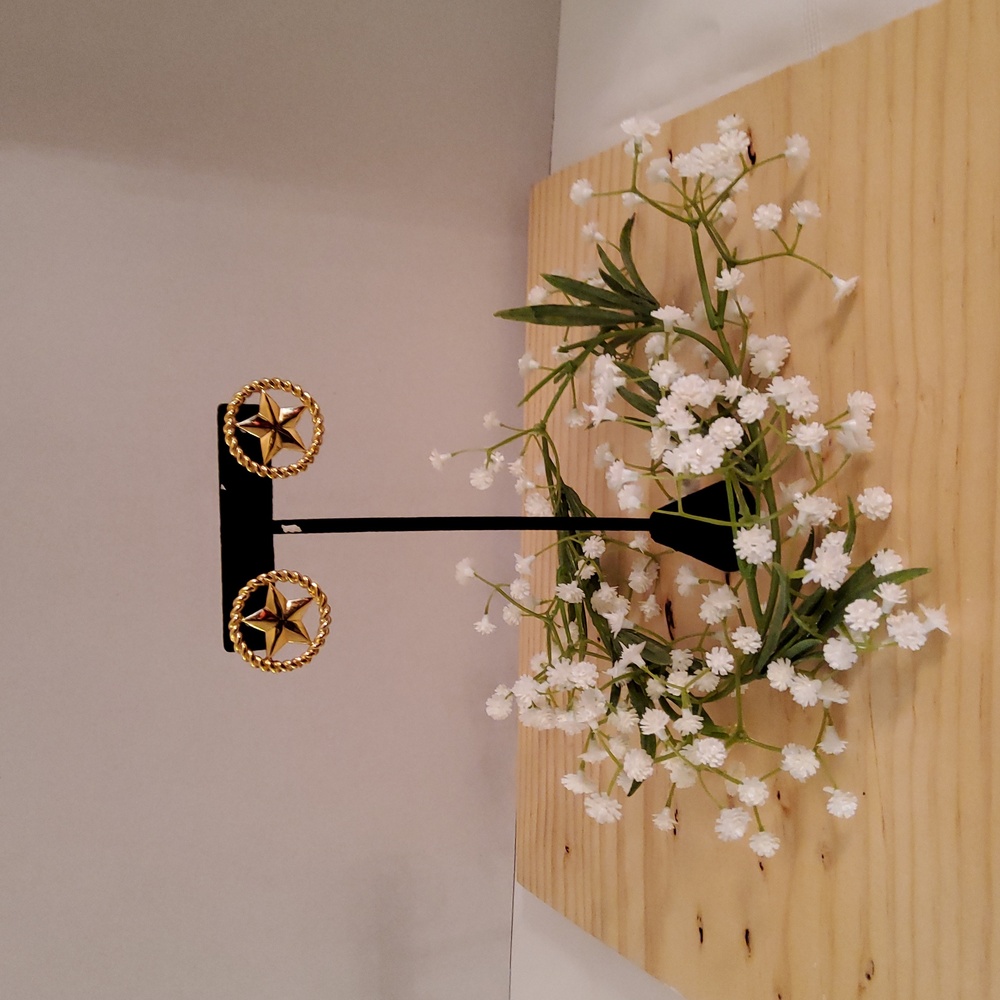 Star and Rope Earrings